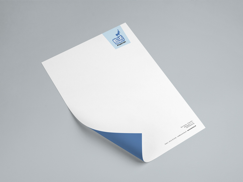 blue-donkey-logo-2.jpg